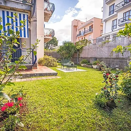 Hidden Garden &